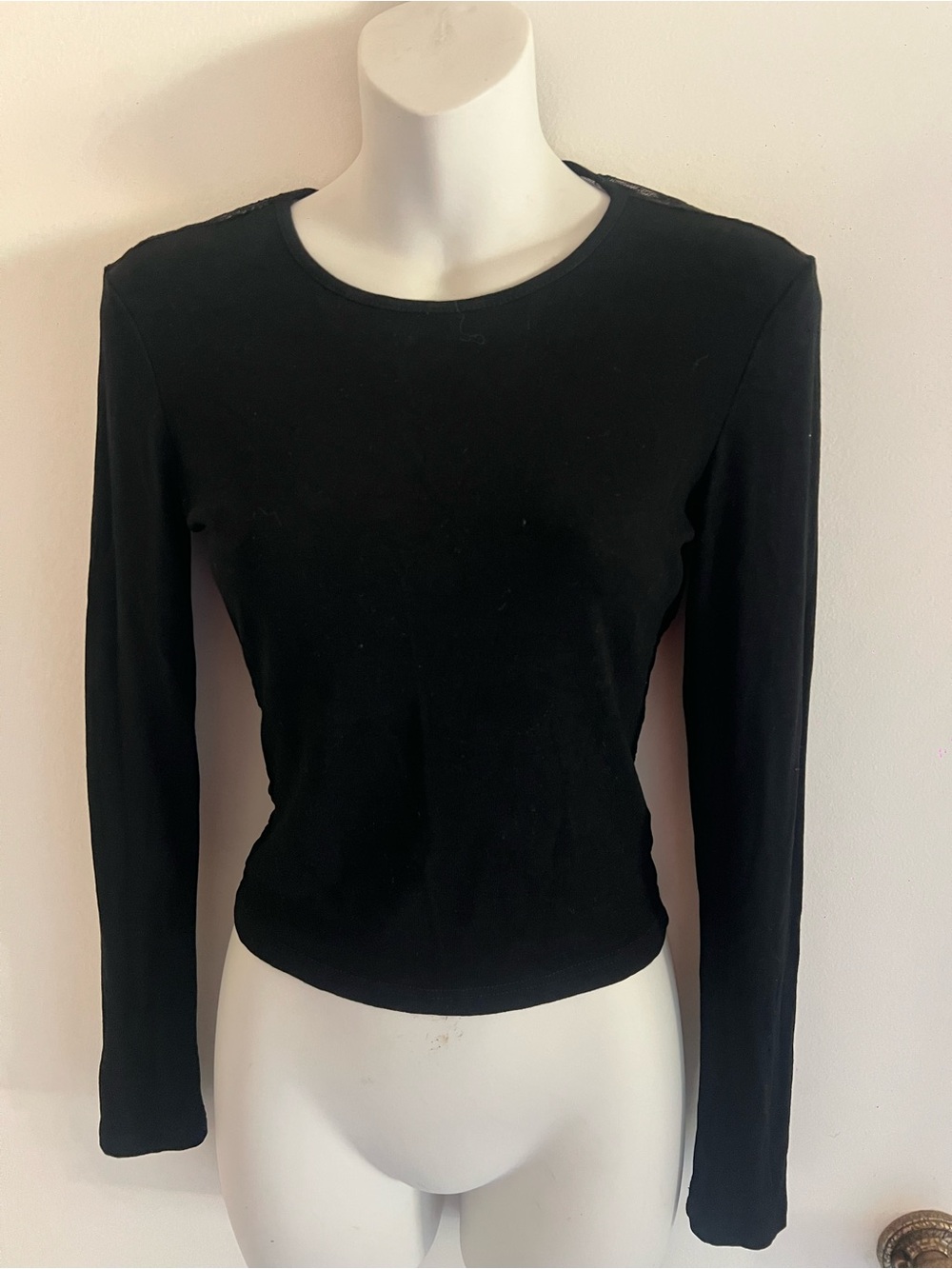 Cropped Cider Black Long Sleeve Crewneck Top